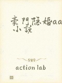 豪门隐婚aa制 小说