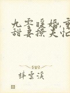 九零暖婚,重生甜妻撩夫忙