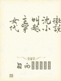 女主叫沈微的古代穿越小说