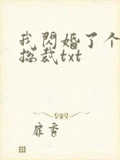 我闪婚了个亿万总裁txt