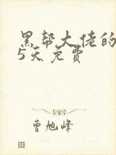 黑帮大佬的365天免费封面