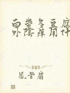 白带多豆腐渣状外阴痒用什么药