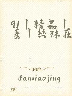 91丨精品丨国产丨丝袜在线观看