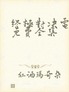 终极对决电视剧免费全集