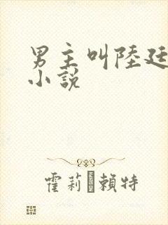 男主叫陆廷深的小说