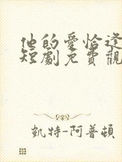 他的爱恰逢其时短剧免费观看全集完整版