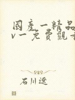 国产一精品一av一免费观看