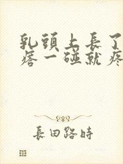 乳头上长了小疙瘩一碰就疼