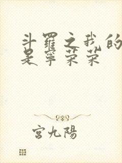 斗罗之我的老婆是宁荣荣