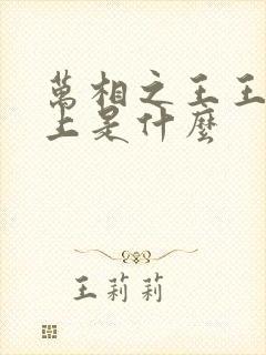 万相之王王境之上是什么