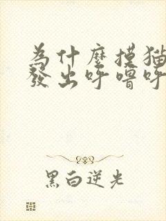 为什么摸猫咪会发出呼噜呼噜的声音封面