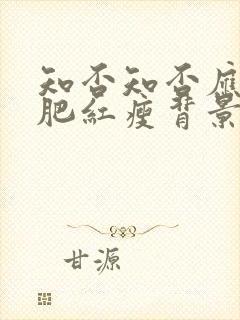 知否知否应是绿肥红瘦背景年代封面