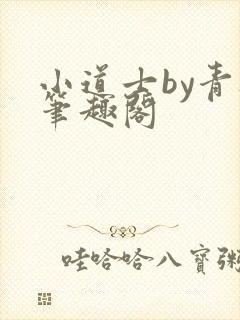 小道士by青灯笔趣阁