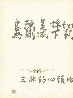 良陈美锦txt无删减下载封面