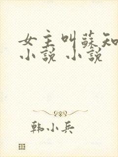 女主叫苏知意的小说 小说
