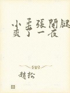 小柔张开腿让我爽了一夜