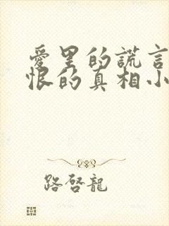 爱里的谎言,仇恨的真相小说