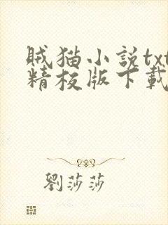 贼猫小说txt精校版下载