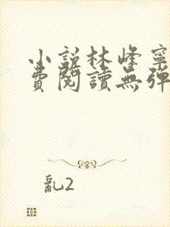 小说林峰宁欣免费阅读无弹窗