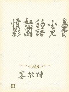 愤怒的小鸟大电影国语免费观看封面