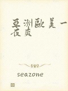 亚洲欧美一级夜夜爽