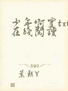 少年啊宾txt在线阅读