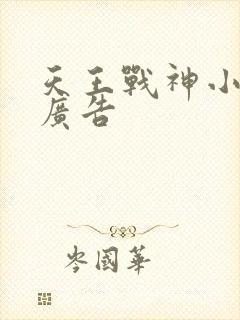 天王战神小说无广告