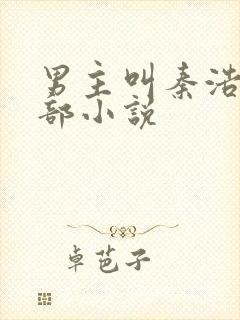 男主叫秦浩的全部小说