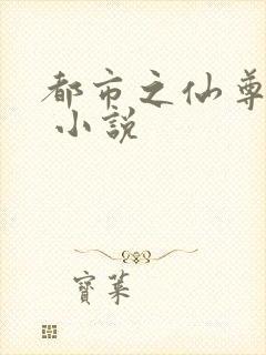 都市之仙尊归来 小说