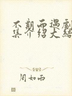 不期而遇剧情分集介绍大结局