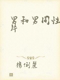 男和男同性黄色片封面