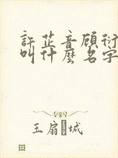 许芷音顾衍小说叫什么名字