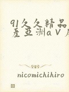 91久久精品国产亚洲a∨麻豆