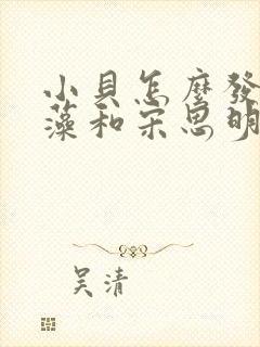 小贝怎么发现海藻和宋思明的