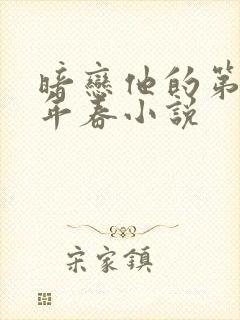 暗恋他的第十一年春小说