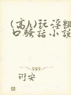 (高h)玩淫粗口骚话小说