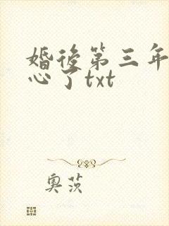 婚后第三年她变心了txt