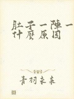 肚子一阵一阵痛什么原因