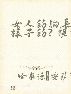 女人的胸长什么样子的? 视频