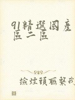 91精选国产一区二区