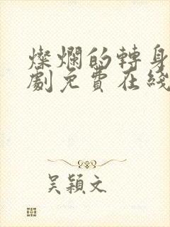 灿烂的转身电视剧免费在线观看