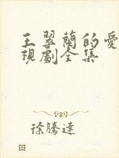 王翠兰的爱情电视剧全集封面