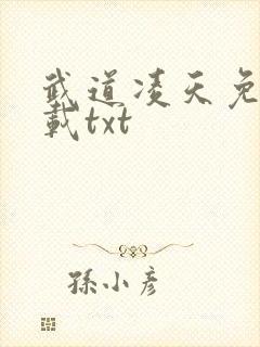 武道凌天免费下载txt