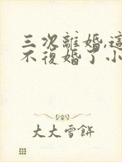 三次离婚,这次不复婚了小说