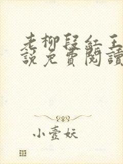 老柳段红王萍小说免费阅读