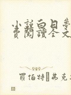 小说白日梦我免费阅读全文