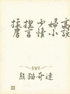 揉捏少妇高耸乳房言情小说封面