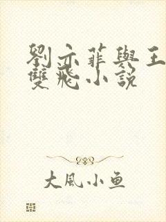 刘亦菲与王晓莉双飞小说封面