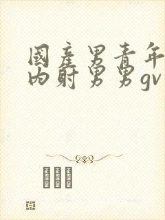 国产男青年无套内射男男gv
