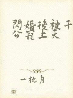 闪婚后被千亿老公宠上天封面